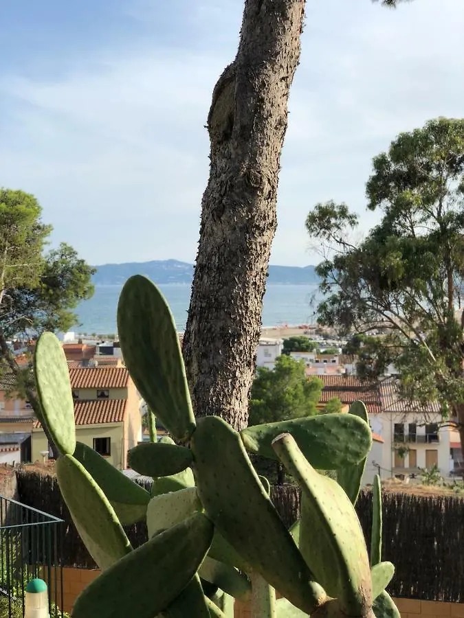 Appartement Apartamento Islas Medas Wifi Y Parking Gratis L'Estartit Spanje